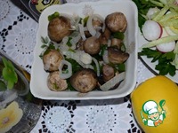 ���������� �� ������������� + ����� �����������