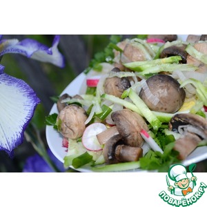 ���������� �� ������������� + �����