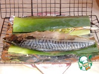 ���� "BBQ" � �����-������ �����������