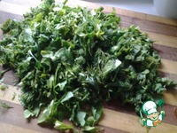 ����� �����������