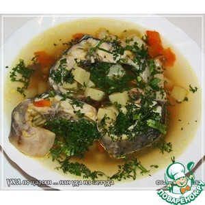 ��� �� ������