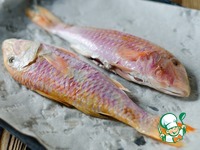 ����������, ���������� � ���������� � �������� �����������