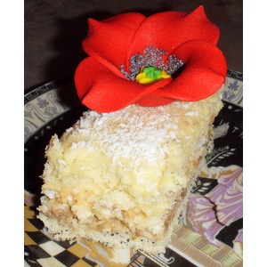 ���� "�����������"