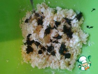 ������� ����� � �������� � ����� �����������