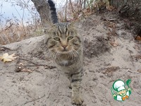 ��������� ��������� ������� � ������� �����������