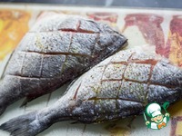 ���� ��-����������� � ������ �����������