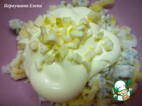 �������� � �����-������ ����� � �������� �����������