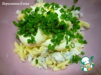 �������� � �����-������ ����� � �������� �����������