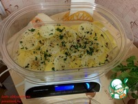 ��������� � ��������� � ����� � ����� �����������