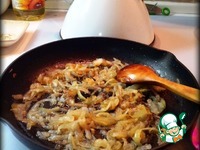 �������� � �������� � �������� �����������