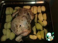 ������ � ����������� �����������