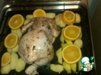 ������ � ����������� �����������