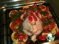 ������ � ����������� �����������