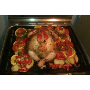 ������ � �����������