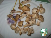 ����� ����� �����������