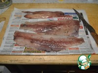 ������ ������ �����������