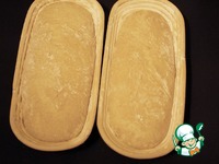 ���� ����������� �����������