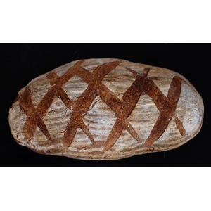 ���� �����������