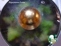 �������� � ������������ � ����� ���� �����������