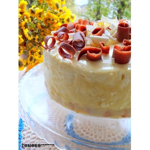 ���� "��������� ����"