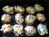 �����������-������ �������, ���������� ��� ������ �����������