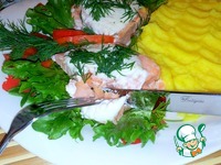 ������ ��� ��������� �����������