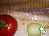 ������ ���� �� ���� �����������