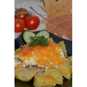 ���� ���������� ��-���������