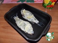 ������, ���������� � ���������-��������� ����� �����������