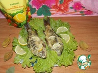 ������, ���������� � ���������-��������� ����� �����������