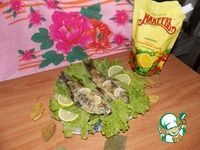 ������, ���������� � ���������-��������� ����� �����������