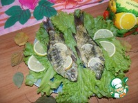 ������, ���������� � ���������-��������� ����� �����������