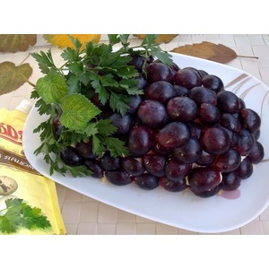 ����� "����������� ������"