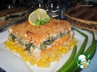 �����������-������ ��������� � ������� �������� �����������