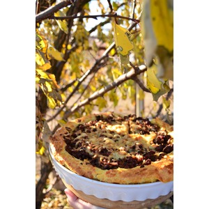 �������� ����� � ������ � �������