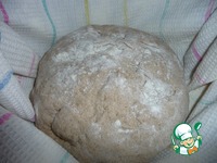 ���� "���������" �� �������� �����������