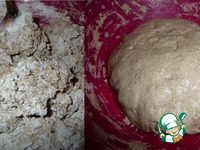 ���� "���������" �� �������� �����������