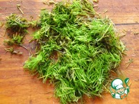 ������ ��������� ����� � ������� � �������� �����������