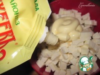 ����� � ������� ������� � ������� �����������