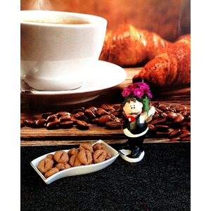 �������-���������� ������� � �������� � ��������