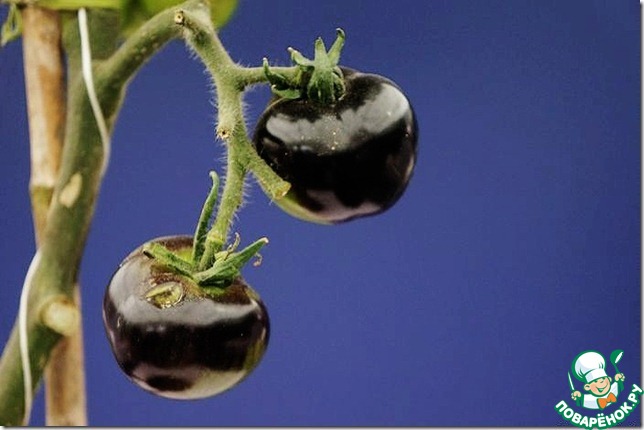 ����� ��������� ������ � ����� �� ���������