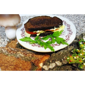 ������� ���������� �� ������� ��������� �����