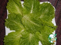 ����� � ����� � ��������-������������ ����� �����������