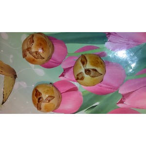 ������� "����������"