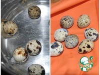 ����� � ������ � ������� �����������