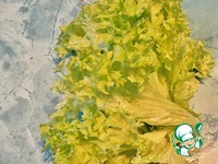 �������� �� �������� � ������ ������ �����������