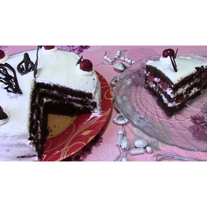 ���������� ���� "������ �����"