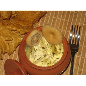 ���������� ��������