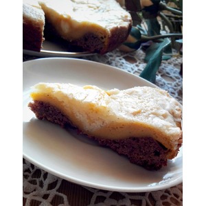 ������ ����������� "����"