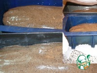 ���������� �������� ���� �����������